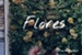 Fanfic / Fanfiction Flores