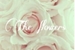 Fanfic / Fanfiction The flowers - Tomtord