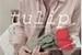 Fanfic / Fanfiction Tulip ;; damijon