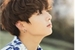 Fanfic / Fanfiction Fases (Jungkook)