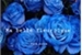 Fanfic / Fanfiction Ma belle fleur bleue