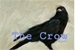 Fanfic / Fanfiction The Crow