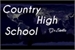 Fanfic / Fanfiction Country High School