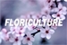 Fanfic / Fanfiction Floriculture