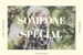 Fanfic / Fanfiction Someone special; oneshot, crossover