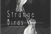 Fanfic / Fanfiction Strange birds