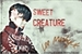 Fanfic / Fanfiction Sweet Creature (Imagine MINHYUK - MONSTA X)