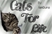 Fanfic / Fanfiction Cats For Life - Uma pequena homenagem