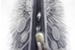 Fanfic / Fanfiction Fullmetal alchemist- Os portões