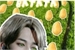 Fanfic / Fanfiction Jimin e a plantação das batatas - Continuação por fãs