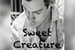 Fanfic / Fanfiction Sweet Creature - H.S