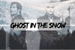 Fanfic / Fanfiction Ghost In The Snow