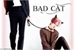 Fanfic / Fanfiction Bad Cat