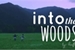 Fanfic / Fanfiction Into the Woods