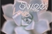 Fanfic / Fanfiction Sweet Sweet Love - BTS
