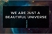Fanfic / Fanfiction We Are Just A Beautiful Universe