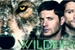 Fanfic / Fanfiction Wildfire - Padackles