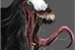 Fanfic / Fanfiction A história do Eddie Brock ( Venom )!!