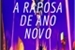 Fanfic / Fanfiction A Raposa de Ano Novo