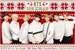 Fanfic / Fanfiction Especial de Natal - BTS