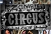 Fanfic / Fanfiction Zombie Circus