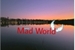 Fanfic / Fanfiction Mad World (mundo louco)