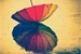 Fanfic / Fanfiction Umbrella?!