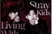 Fanfic / Fanfiction Living With Stray Kids