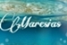 Fanfic / Fanfiction Maresias: Uma amizade do fundo do mar