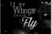 Fanfic / Fanfiction If My Wings Could Fly
