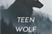 Fanfic / Fanfiction Teen Wolf - A New History