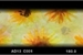 Fanfic / Fanfiction Nanaimo Bars - flor do sol (Sunflower)