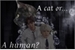 Fanfic / Fanfiction A cat or...a human? (SOPE)