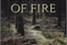 Fanfic / Fanfiction Chais of Fire