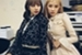 Fanfic / Fanfiction LET'S NOT FALL IN LOVE(ChaeLisa)(G!P)