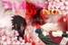 Fanfic / Fanfiction The Heroine or Not - Sakura Haruno