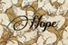 Fanfic / Fanfiction Hope