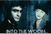 Fanfic / Fanfiction Into The Woods - Harmione (Harry e Hermione)
