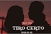 Fanfic / Fanfiction Tiro certo - (Zé Felipe) - Finalizada