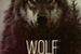 Fanfic / Fanfiction Wolf -Im Chankyun (I.M)