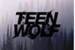 Fanfic / Fanfiction Teen Wolf