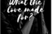 Fanfic / Fanfiction What the love made for?
