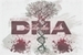 Fanfic / Fanfiction DNA-Sentido Da Vida
