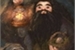 Fanfic / Fanfiction Hagrid: A amizade de uma Hufflepuff