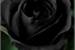 Fanfic / Fanfiction Rosas Negras