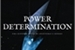 Fanfic / Fanfiction Power Determination