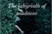 Fanfic / Fanfiction The labyrinth of madness