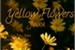 Fanfic / Fanfiction Yellow Flowers- Jikook