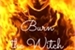Fanfic / Fanfiction Burn the witch - One shot