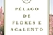 Fanfic / Fanfiction Pélago De Flores e Acalento - Severus Snape